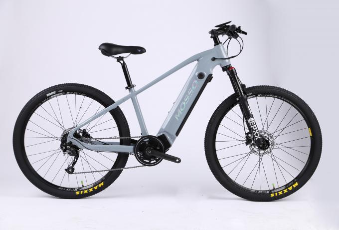 多機能表示が付いている250W電気バイクおよびスマートな特徴電気山の自転車 0